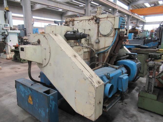 GIUSTINA BESLY R 242